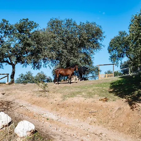 Chalet Rural En