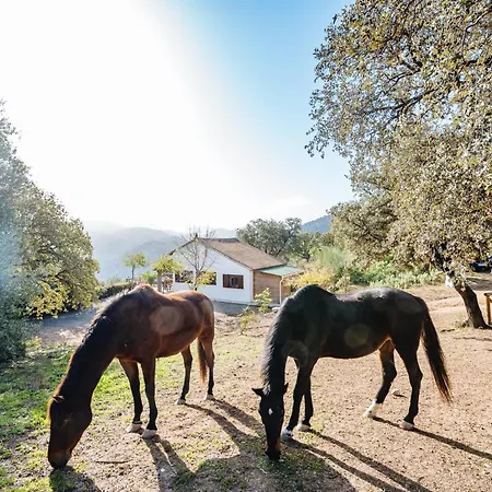 Rural En Chalet Coripe